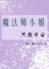 魔法师小说完本